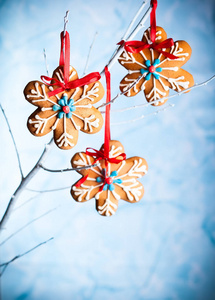 圣诞挂在一根小树枝上的姜饼雪花