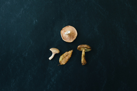 混合的生蘑菇。牛奶蘑菇 russule 飞轮蘑菇和黑色背景上的落叶
