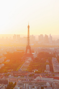 埃菲尔铁塔和巴黎城市景观