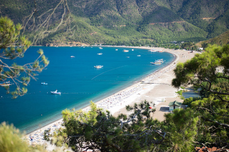 松树与蔚蓝的大海背景土耳其