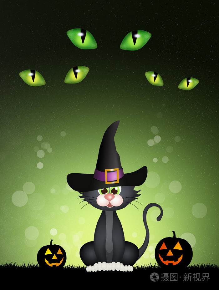 万圣节的黑猫