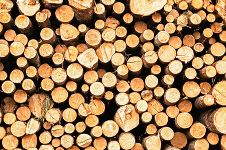 一堆橡木木制的背景