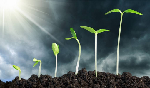 生命在于绿色图片