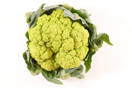 生鲜青菜花白菜照片 正版商用图片0syqyr 摄图新视界 生鲜青菜花白菜照片 正版商用图片0syqyr 摄图新视界