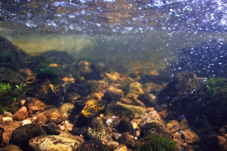 湖泊水下纹理, 水下照片淡水生态系统, 水纹理背景