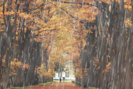 秋季公园, 雨天背景秋季景观背景雨质地在10月的公园里, 走在恶劣的天气, 滴水, 刮风的天气, 恶劣的天气, 悲伤的心情