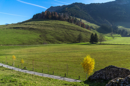 装载 Rigi 和秋季景观，阿尔卑斯山