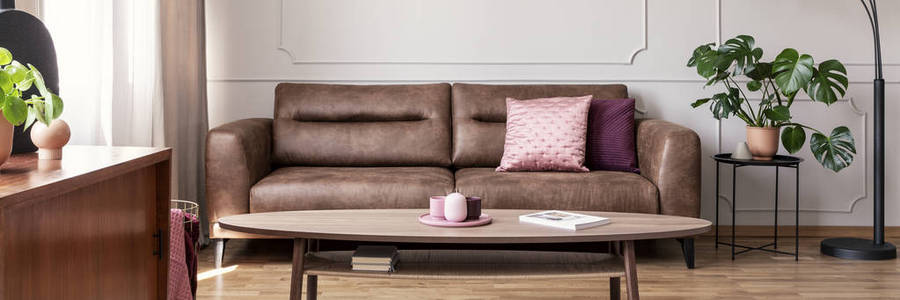 客厅真皮沙发上的粉红色枕头全景与植物和木桌。真实照片
