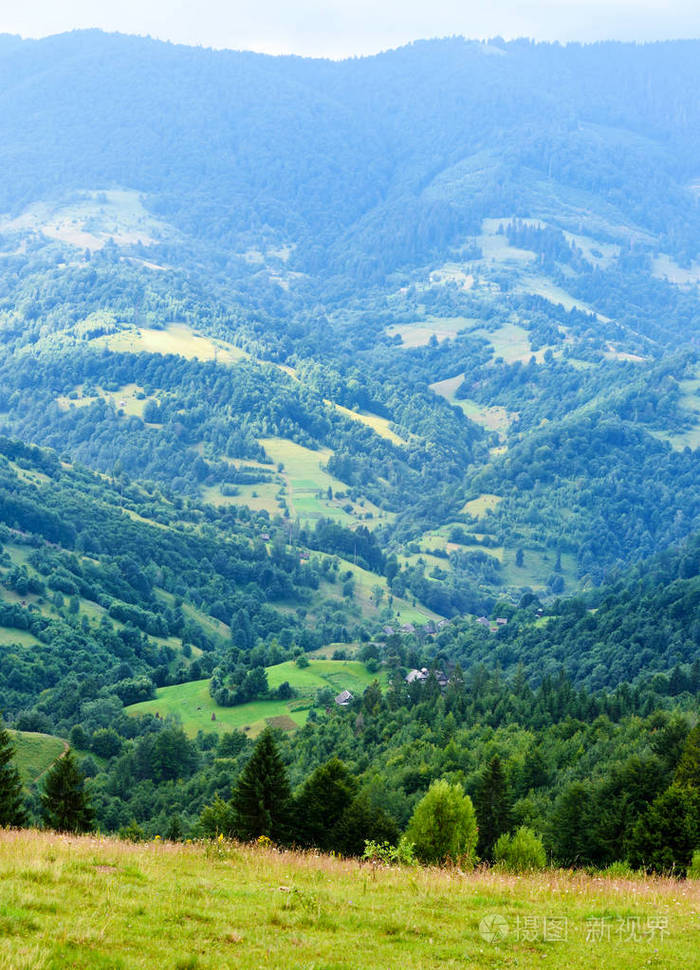 美丽的夏天山风景在早晨