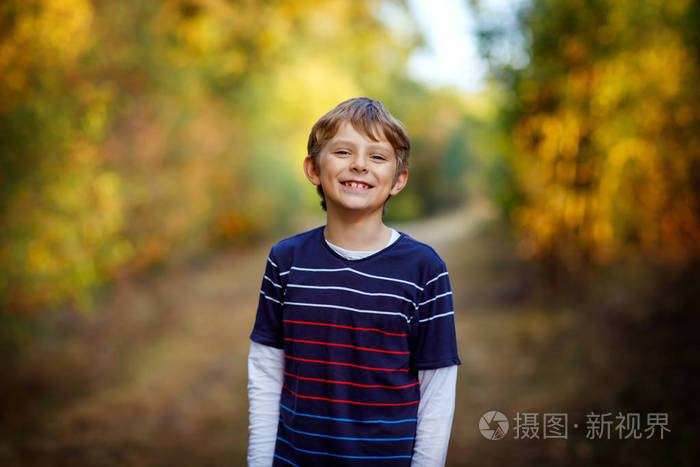 在森林里的小帅哥的画像。快乐健康的孩子在温暖的阳光明媚的日子里愉快地秋天。家庭, 自然, 爱和活跃休闲