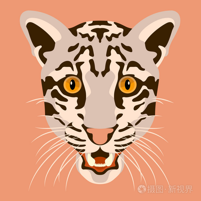 云豹豹矢量头脸