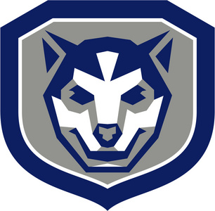 微笑的婴儿只狼崽头冠复古照片