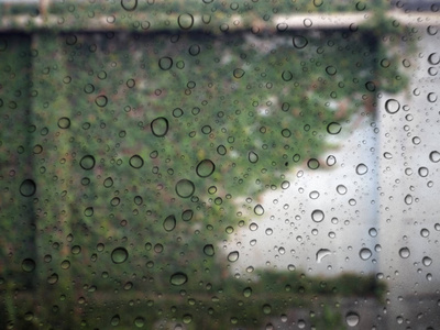 关闭玻璃背景下的雨滴。草墙出焦点