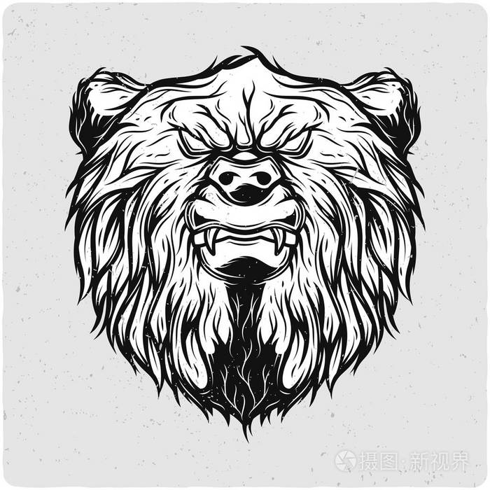 熊头.黑白插图.光背景与垃圾噪声和框架隔离