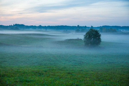 拉脱维亚 Kraslava 市。清晨的阳光, 草地, 树木和雾。自然照片。旅游照片2018