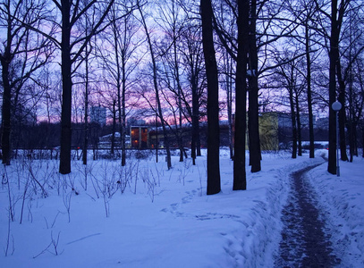 冬天的黎明在公园里