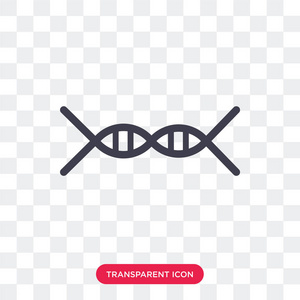 dna 矢量图标在透明背景下被隔离, dna 标识 des