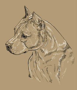 比特犬黑白图片-比特犬黑白素材-比特犬黑白插画-摄图新视界