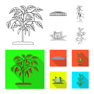 温室和植物图标的孤立对象。温室和庭院股票载体例证的汇集