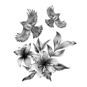 一只手画的黑白组合的古董花和鸟。春天的鸟儿坐在花枝上。线形雕刻艺术