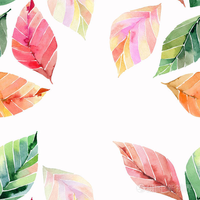 美丽可爱可爱美妙的图形鲜艳的花卉草药秋季橙绿色黄叶图案水彩手素描