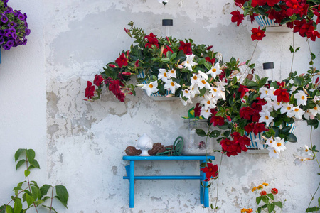明亮的花朵对白色质感的墙壁。质朴的后院外观。意大利乡村户外装饰。墙上的花盆里有白色和红色的花朵。花园设计。旅游理念