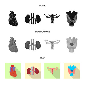 物体和人体图标的孤立对象。一套身体和医疗股票向量例证