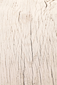 白色 clolour 中的裂纹木表面纹理