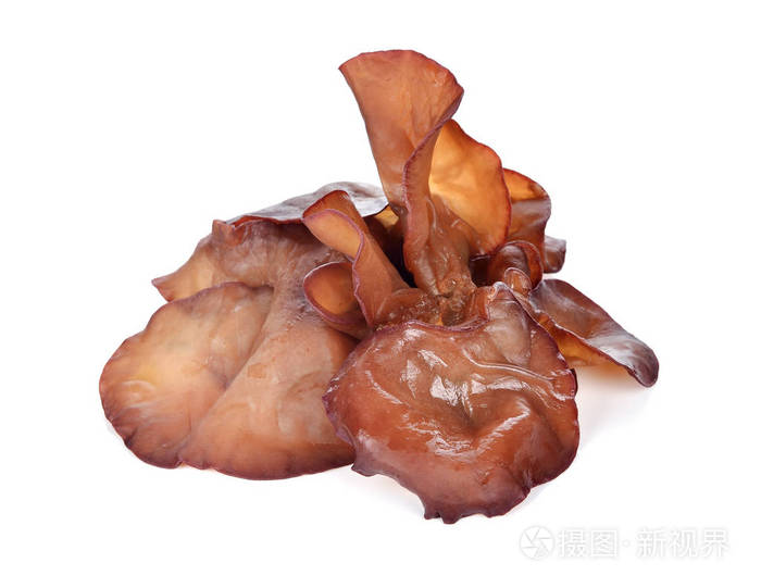 黑木耳 (犹太人的耳蘑菇) 白色背景上