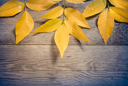 秋天的叶子上木制背景与副本空间