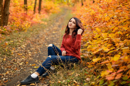年轻美丽的女子在红色针织 sweather 坐在地面上秋季公园与黄色和红色的叶子