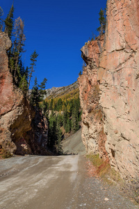 山里红路秋门