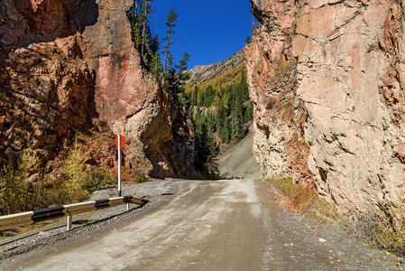 山里红路秋门