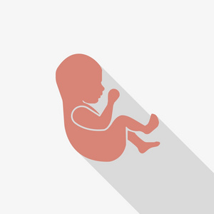 胚胎发育阶段的出生