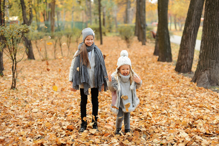 两个女孩在灰色的帽子，站在秋天的公园在晚上