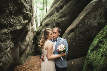 华丽的婚礼情侣接吻和拥抱在森林里的大石头