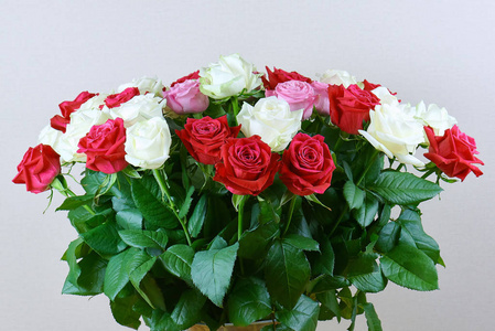 一大束红色, 粉红色和白色玫瑰特写。玫瑰的背景。恭喜你放假了。爱与柔情