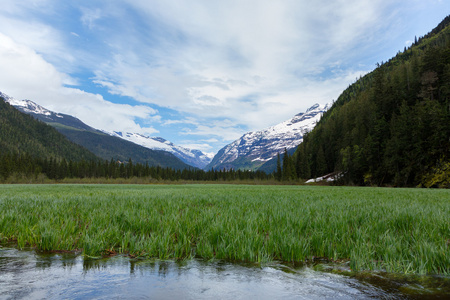 在 Upperlake 一座山的美景