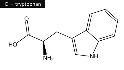 色氨酸分子的结构