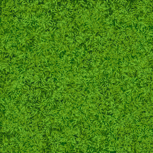 自然逼真的绿草纹理背景。 足球草地