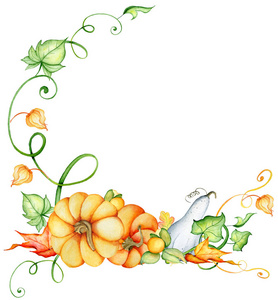水彩南瓜和秋天叶子花圈。收获成分。感恩节快乐。手绘插图