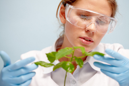 女性的生物科学家研究植物叶片