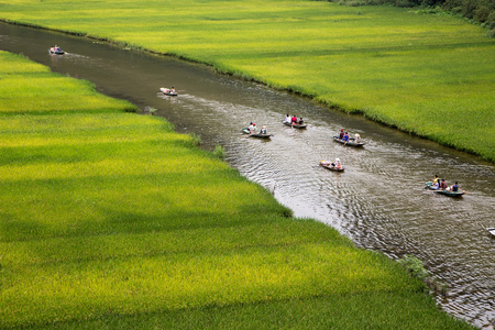 景观与稻田和河