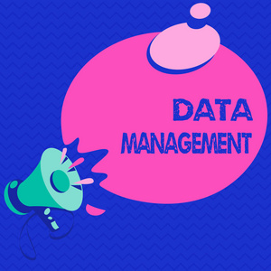 文字数据管理字编写。组织和维护数据过程的业务概念