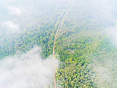 森林中一条乡间小路的鸟瞰图。美丽的风景。在绿色森林和道路上的云。空中鸟眼之路。空中俯视图林。从上面看森林景观的纹理