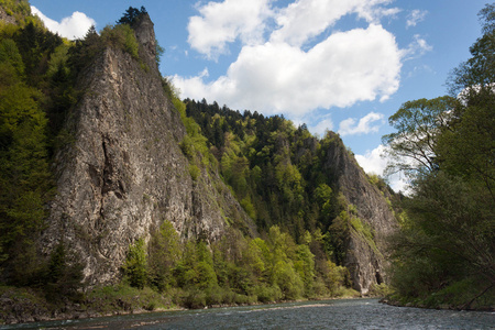 岩石在 Pieniny 国家公园在斯洛伐克