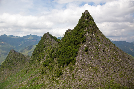 山医管局江，越南