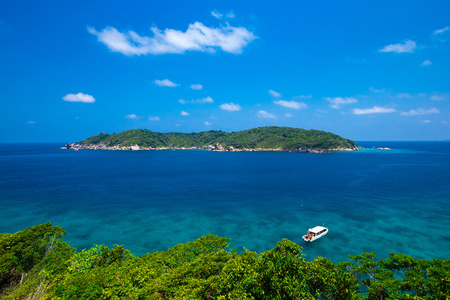 海滩和热带海