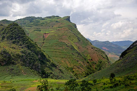 山医管局江，越南