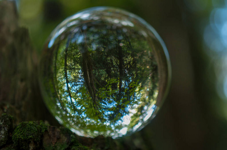 水晶球反射的森林